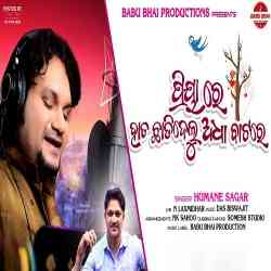 Priya Re Hata Chadidelu Adha Batare